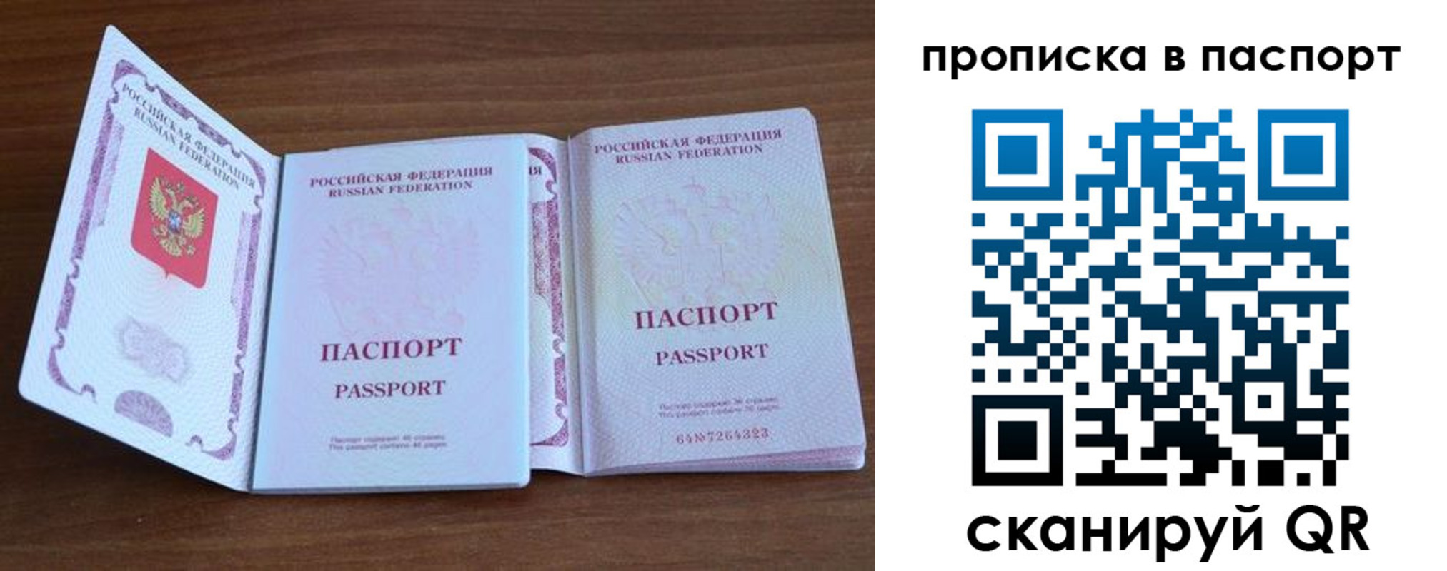 временная регистрация поиск в Павловске